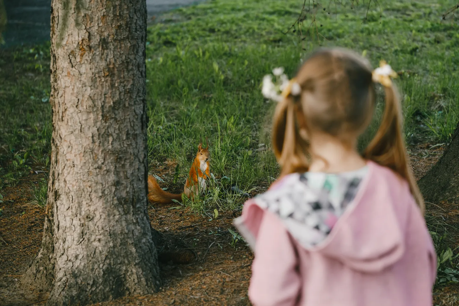 Girl looking at a squirrel in the park