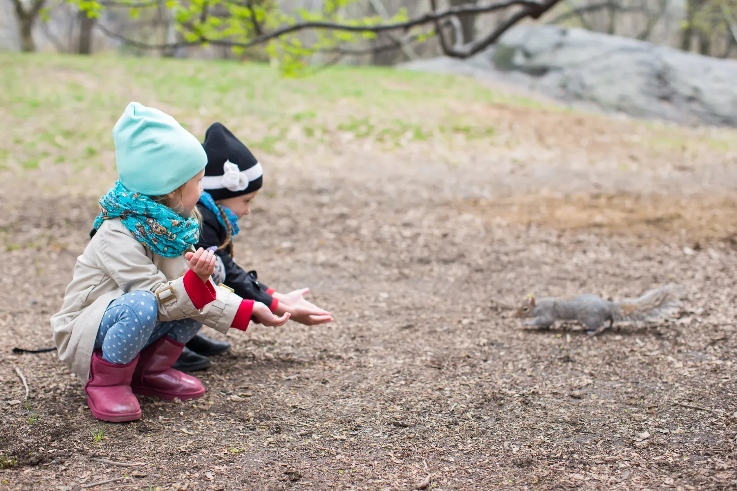 Girls feeds a squirrel in central park